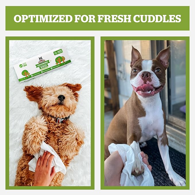 Pogi’s Dog Wipes Travel Packs – Hypoallergenic Pet Wipes for Paws, Body & Butt – Cleaning & Hydrating, Green Tea Scent, 120-Count