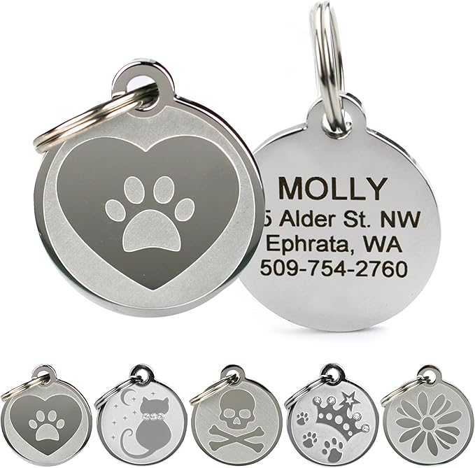 GoTags Playful, Custom Engraved Pet ID Tags, Solid Stainless Steel, Personalized Dog and Cat Pet ID with up to 4 Lines of Text, Cute, Durable and Long-Lasting