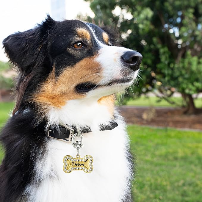 Patented Flipclip Stainless Steel Contour Carabiner Pet Collar Tag Clip w/Split Ring Set – Ultra-Secure, Quick Switching for Dogs & Cats- Maximum Pet Safety & Utmost Comfort- 2 Sets