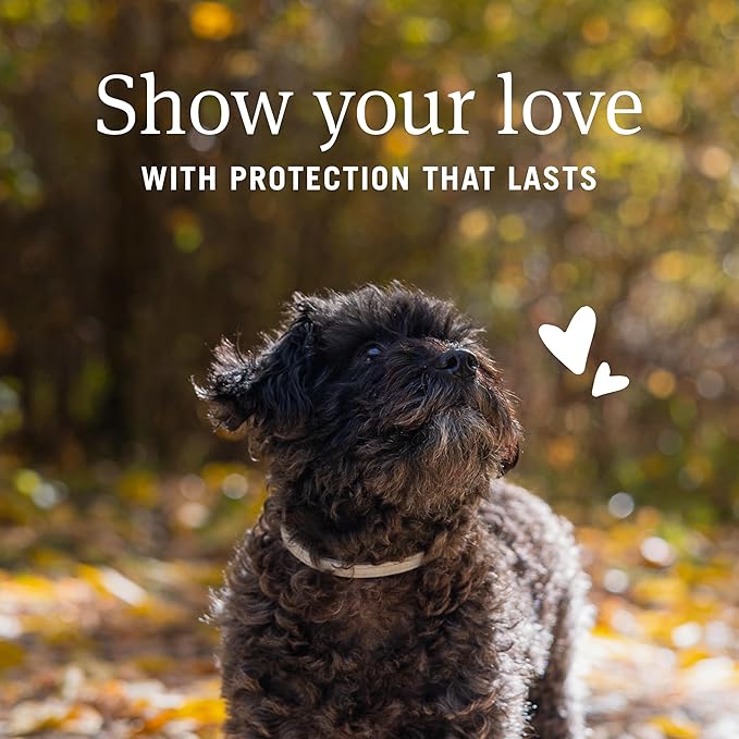 PetArmor Extend Flea & Tick Treatment & Prevention Collar for Small Dogs up to 18 lbs., 8 Months of Protection, Odorless & Non-Greasy, Waterproof, Kills Fleas, Ticks, and Flea Larvae, 1 Count