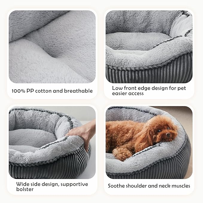 SIWA MARY Small Dog Beds for Small Dogs Cats, Washable Pet Bed, Cat Beds for Indoor Cats, Rectangle Soft Calming Sleeping Warming Puppy Bed with Anti-Slip Bottom(20"x19"x6")