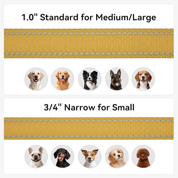Joytale Dog Leash, 4 FT Double-Sided Reflective, Padded Handle Nylon Heavy Duty Leashes for Medium & Large Dogs Walking, Khaki
