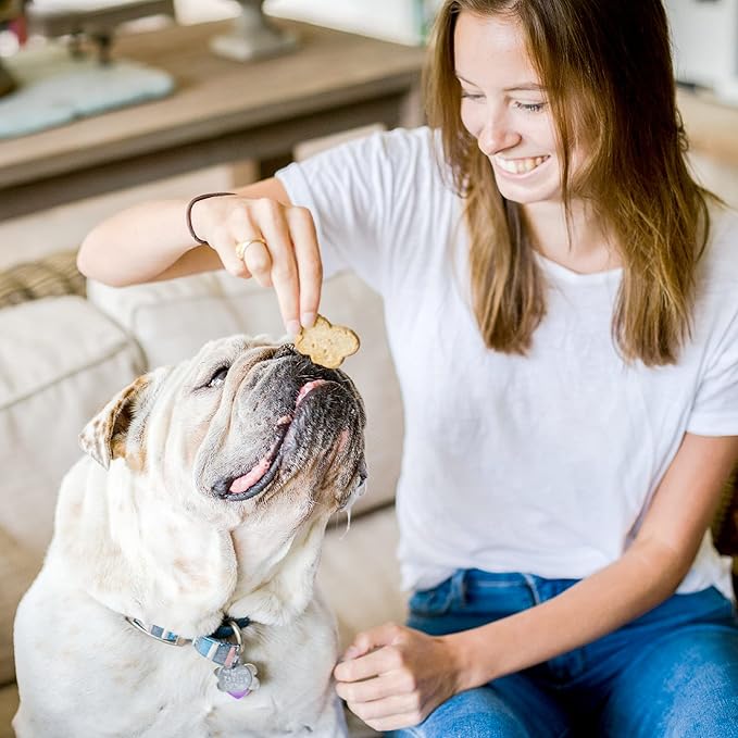 Cloud Star Wag More Bark Less - Dog Treats - Crunchy Biscuits - Grain Free Pumpkin - 2.5 lb Pouch