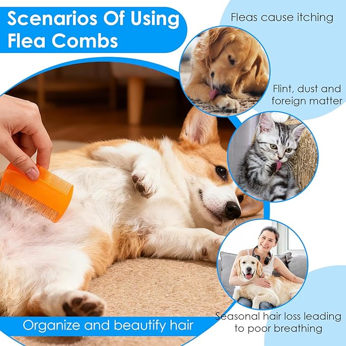 100 Pcs Double Sided Fine Tooth Flea Comb Lice Comb Pet Grooming Tool for Cats, Dogs, Kittens, Lice Dandruff Removal, 5 Colors, 3.5 x 2 Inch