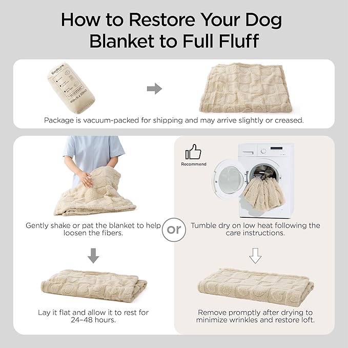 Bedsure Dog Blanket for Small Dogs Washable - Fluffy Fuzzy Puppy Cat Blanket with Premium 300GSM Coral Fleece Soft for Pet Kitten Doggy, Green, 25x35IN