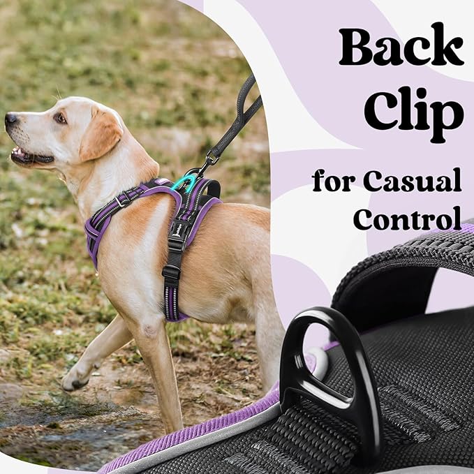 rabbitgoo Dog Harness for Large, No Pull Pet Harness with 3 Buckles, Adjustable Soft Padded Vest with Control Handle, Walking Reflective Pet Vest for Large Dogs, Black & Purple, L