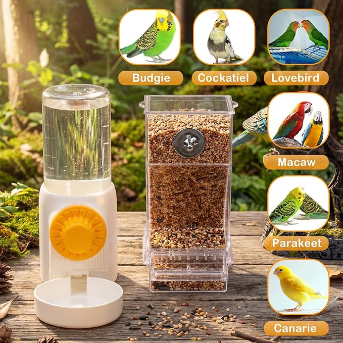 Jingmore 4 Pcs No Mess Small Bird Feeder Parakeet Water Dispenser Set Automatic Clear Parakeet Feeder Acrylic Watered Cage Accessories for Canary Budgie Lovebirds Finches(White)