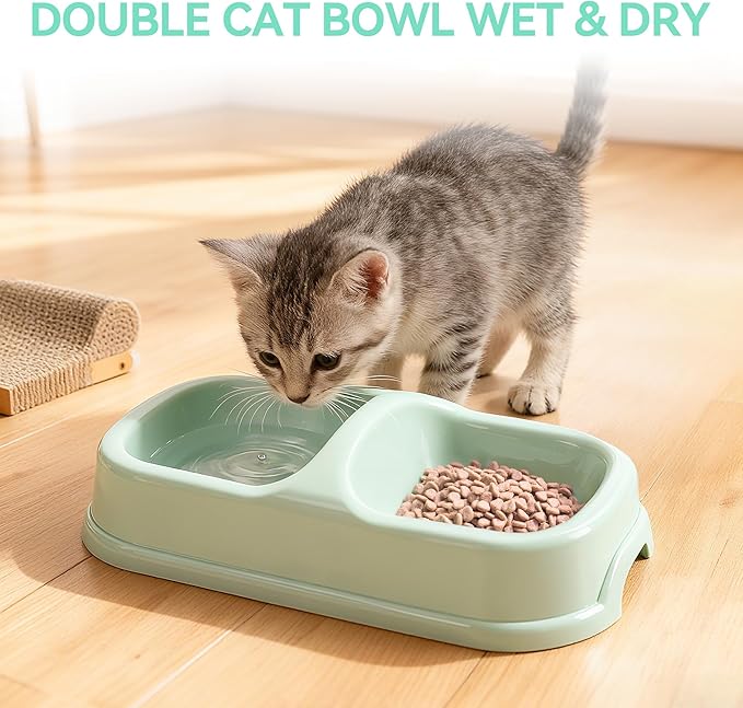 Pawise Cat Starter Kit Includes 4PCS Kitty Supplies, Great for Small Kitties, 14.5x10.5 Inch (Green)