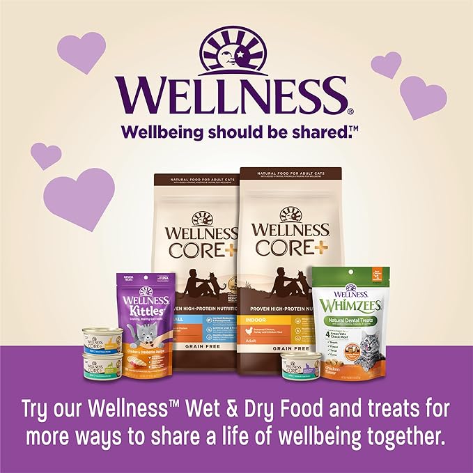 Wellness Kittles Crunchy Natural Grain Free Cat Treats, Salmon & Cranberries Recipe, All Life Stages, 2-Ounce Bag (Pack of 2)