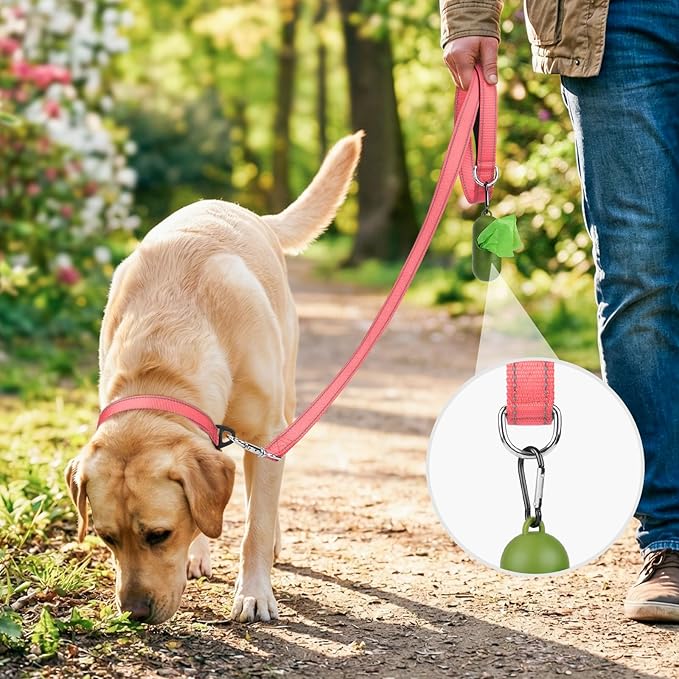 Joytale Dog Leash, 5 FT Double-Sided Reflective, Padded Handle Nylon Heavy Duty Leashes for Medium & Large Dogs Walking, Neon Pink