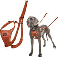 Halti No Pull Harness - Stop Your Dog Pulling on The Leash. Adjustable, Lightweight and Easy to Use. Reflective Dog Training Harness for Large Dogs (Size L, Burnt Orange)