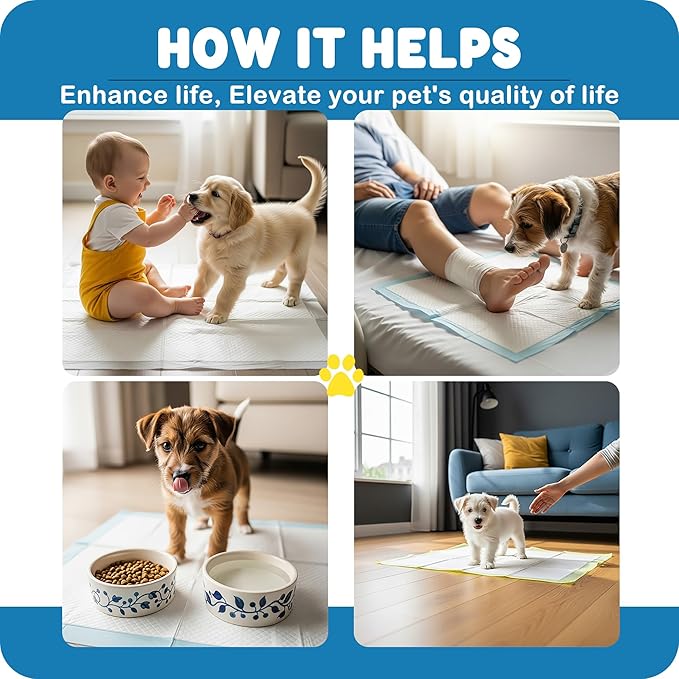 MoMoCo Puppy Pads 23″×23″ Disposable Dog Pee Pads Super Absorbent, Leak-Proof Puppy Training Potty Pads, 200-Count Value Pack (100 Blue + 100 Pink)