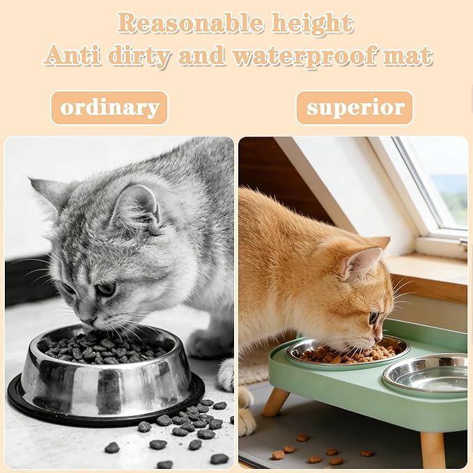 Elevated Cat Bowls with Food Mat, Splash Proof Anti Vomiting Raised Cat Food and Water Bowl Set, 2 Stainless Steel Dishes for Cats and Puppy, Pet Bowl for Indoor Cats Green