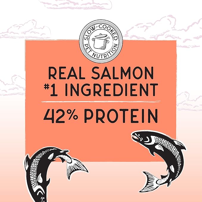 Blackwood Bounty Dry Cat Food, Salmon & Rainbow Trout Recipe for All Life Stages, 4.5 Pound Bag, High Protein, Grain Free