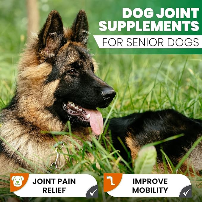 Turmeric for Dogs – 180 Count Tablet Treats with Curcumin & Piperine – Joint Health, Mobility, Allergy & Itch Relief, Skin & Coat, Hot Spots – Arthritis & Hip Joint Support with Salmon Oil