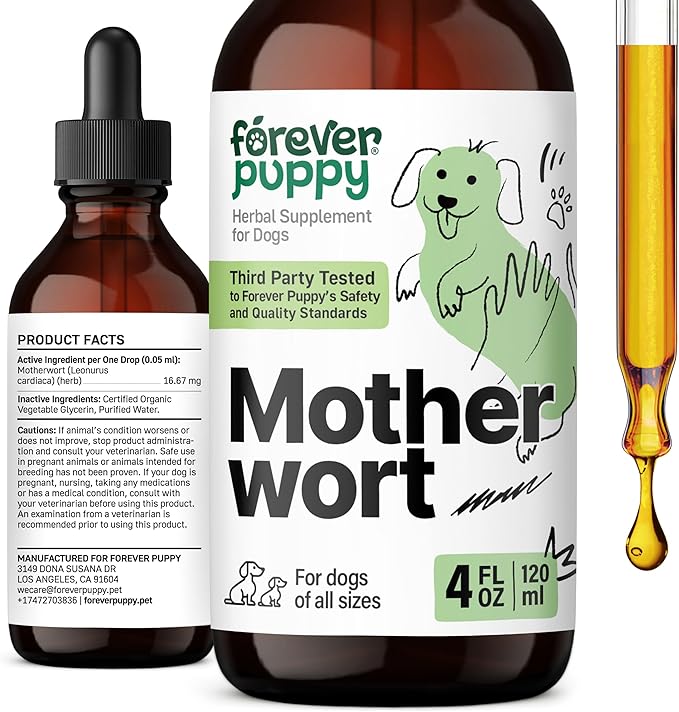 Forever Puppy Motherwort Tincture for Dogs - Herbal Dog Heart Supplement - Motherwort Herb Liquid Extract - Canine Vitamins for Overall Well-Being - Sugar & Alcohol-Free Drops - 4 fl oz