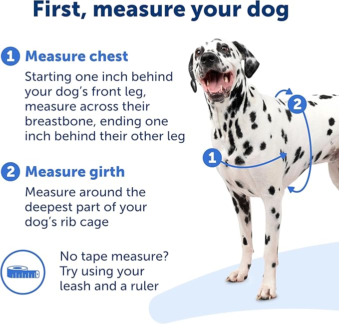 PetSafe Easy Walk Harness for Dogs - Pull-Free Walks - Patented Martingale Loop Design - Front Chest Leash Attachment - Comfort Straps - Breathable Harness Design - Small, Royal Blue/Navy Blue