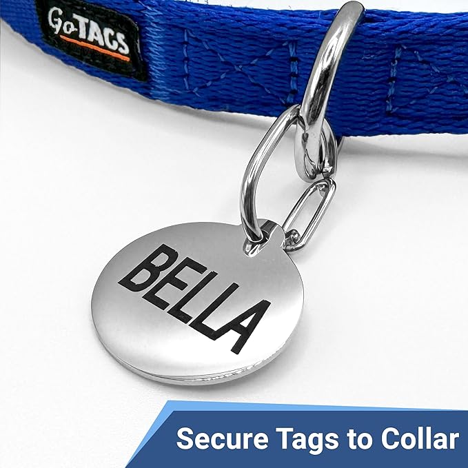 GoTags Pet ID Dog Tag Clip, Strong Durable Dog and Cat Tag Connector, Quick Clip to Pet Collars, Easy Upgrade for Split Ring, Mini Carabiner Made of Stainless Steel, Pack of 3