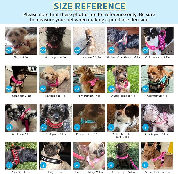 SlowTon No Pull Small Dog Harness and Leash Set, Puppy Soft Vest Harness Neck & Chest Adjustable, Reflective Lightweight Harness & Anti-Twist Pet Lead Combo for Small Medium Dogs (Black, XXS)