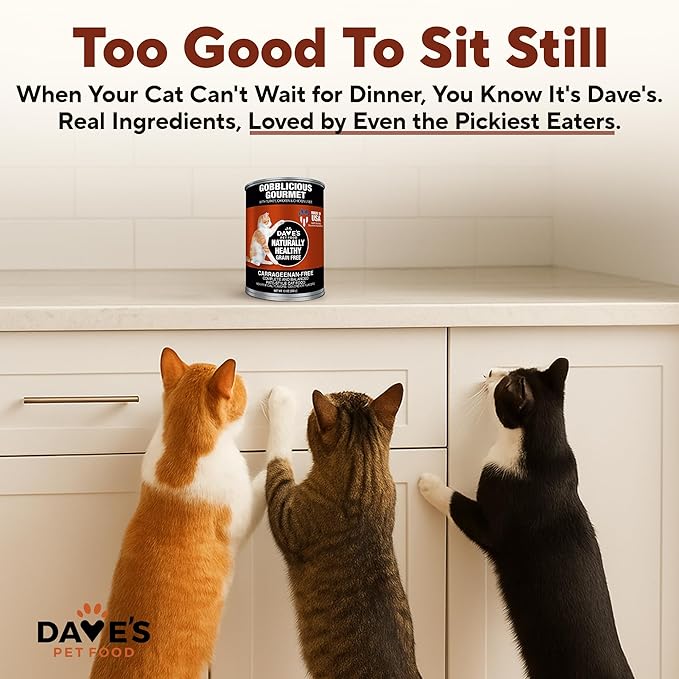 Dave's Pet Food Grain Free Wet Canned Cat Food Pate (Gobblicious Gourmet), Made in USA Naturally Healthy, Added Vitamins & Minerals, 13 oz Cans (12 Pack)