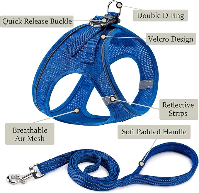 BOOMIBOO Dog Harness with Leash Set, No Pull Adjustable Reflective Step-in Puppy Pet Vest Harnesses for Small Medium Large Dogs and Cats,Blue XXS