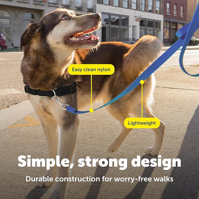 PetSafe Nylon Leash - Strong Nylon Dog Leash for Everyday Walks - Durable Pet Leash with Quick Attach Leash Clip - Comfortable Soft Grip - 4 Feet - Royal Blue
