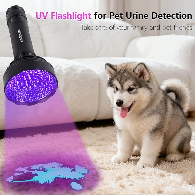 UV Flashlight Black Light, Ultra Bright 100 LED 395 nM Ultraviolet Blacklight Detector with UV Protective Glasses for Dry Pet Dog Cat Urine Stains, Bed Bug, Scorpions Matching with Pet Odor Eliminator
