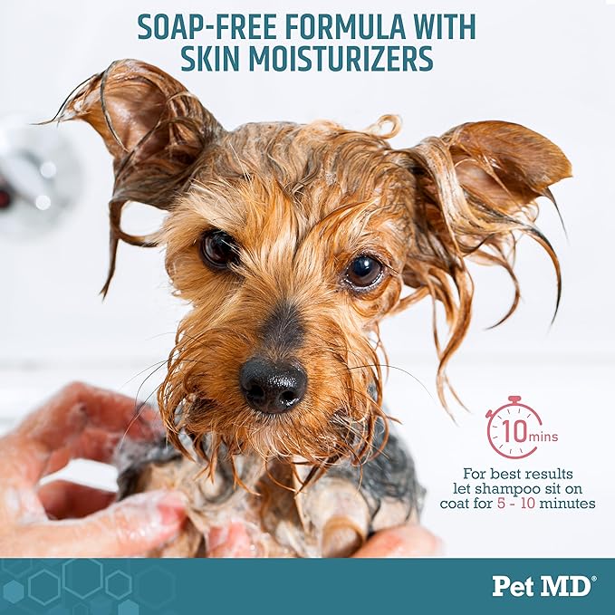 Pet MD - Benzoyl Peroxide Medicated Shampoo for Dogs and Cats - Effective for Skin Conditions, Dandruff, Itch Relief, Acne and Folliculitis - Citrus Scent - 12 oz