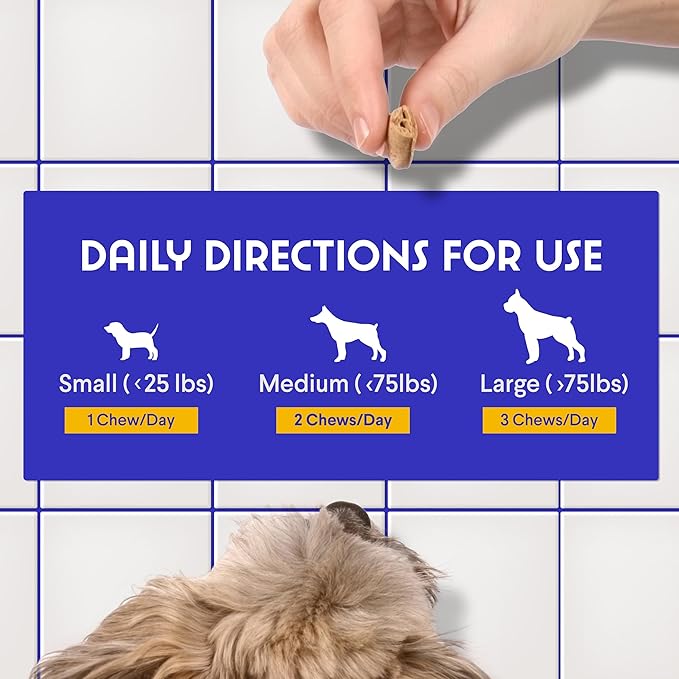 Wonder Paws Skin & Coat Supplement for Dogs with Salmon Oil, Omega 3 & 6, EPA & DHA, Promotes Healthy Skin and Coat, Itchy Relief, Joint and Overall Health, Delicious Flavor, 70 skin & coat Soft Chews