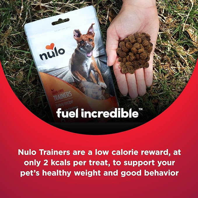Nulo Trainers Salmon Recipe Grain-Free Low-Calorie Healthy Dog & Puppy Training Treats, 16 Ounce Pouch