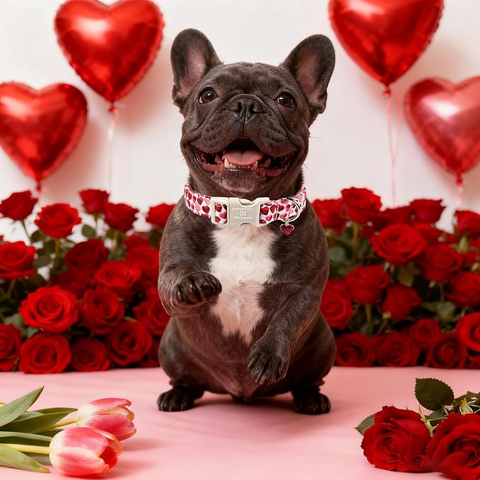 Maca Bates Valentine's Day Dog Collar with Red Love Heart Charm for Extra Large Girl Boy Dogs, Ombre Effect Heart Pattern,Adjustable Durable Soft Collars Valentine Gift for Male Female Puppy