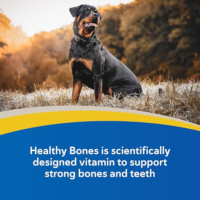 Doc Roy’s Healthy Bones Calcium Phosphorus Supplement Vitamin for Puppies, Dogs, Kittens & Lactating Females, Supports Strong Bones, Teeth & Muscle, Roast Beef & Liver Flavored, 100ct Chewable Tablets