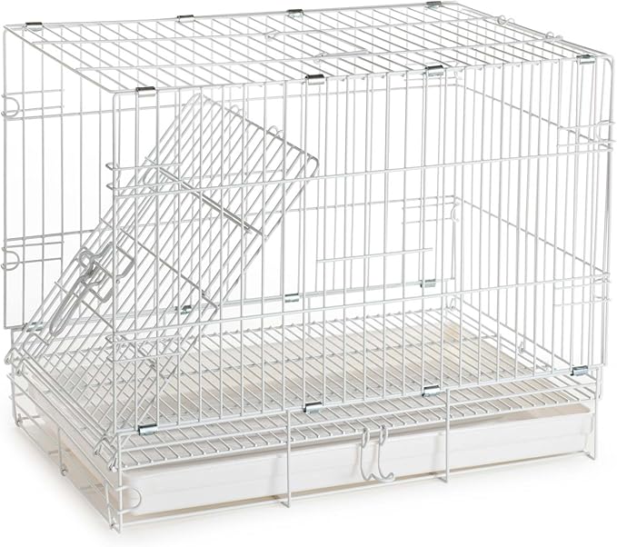 Large Easy Collapsible Travel Vet Bird Parrot Carrier Metal Cage Bar Spacing 1.25-Inch Prevent Your Parrot Bird Beaks Out with Stainless Feeder Cups Natural Wooden Perch