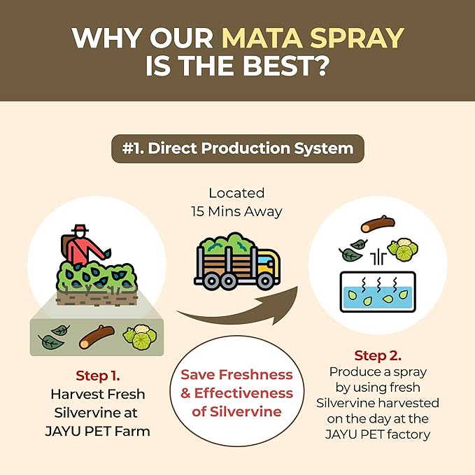 JAYU PET Active MATA Spray – 100% Natural Silvervine Spray for Cats, Liquid Catnip Alternative, Calming Mist for Indoor Kittens, Boosts Play & Engagement, Reduces Stress (1 fl oz)