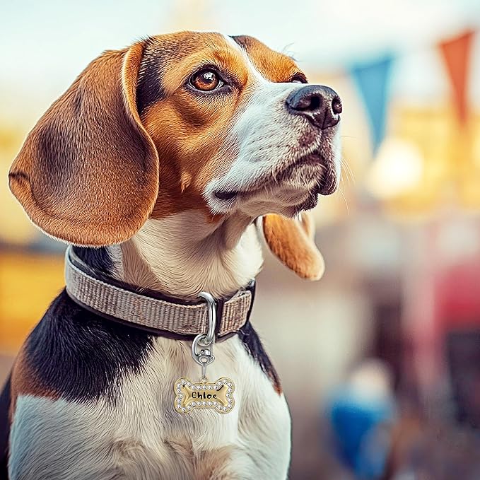 Flip Clip Carabiner Dog Tag Clips - Quick Release Collar Clips for ID Tags, Pet Safety, and Keychains - Small, Secure Carabiner Clips for Dog Collars, Keys, and More