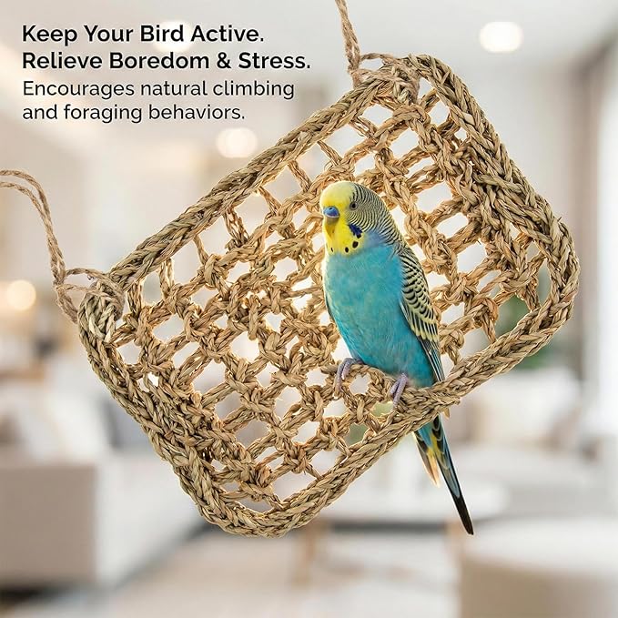 MAQIHAN Seagrass Mat for Birds - Bird Toys Seagrass Mats Foraging Activity Play Grass Mat Bird Climbing Wall Seagrass Net Hammock Toy for Medium Parakeets Lovebirds Finch Budgerigars Conure Cockatiel