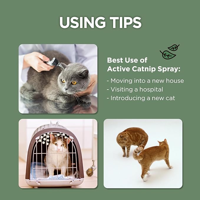 JAYU PET Active Catnip Spray - High Potency Transparent Liquid Spray Made of Fresh Organic Catnip for Indoor Cats and Kittens, Relieves Stress, Calming, Revives Toys (1fl oz) (Catnip Spray, 1fl oz)