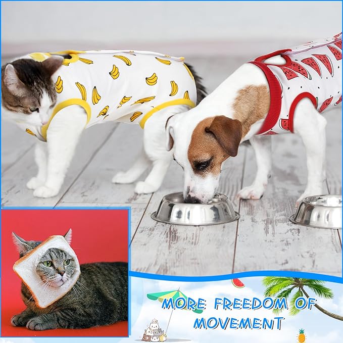 Kacctyen 6 Set Cat Recovery Suit After Surgery Female and Male Cat Kitten Surgery Suit E Collar Alternative Pajama Kitty Clothes for Spay Abdominal Skin Anti Licking(Fruit,Small)