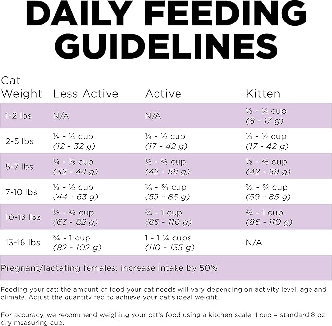 Go! Solutions Carnivore Chicken, Turkey + Duck Grain-Free Dry Cat Food, Our Highest-Protein Kibble Made with Real Meat & Fish, Cranberries for Urinary Health, for Kittens, Adults & Seniors, 8 lb Bag