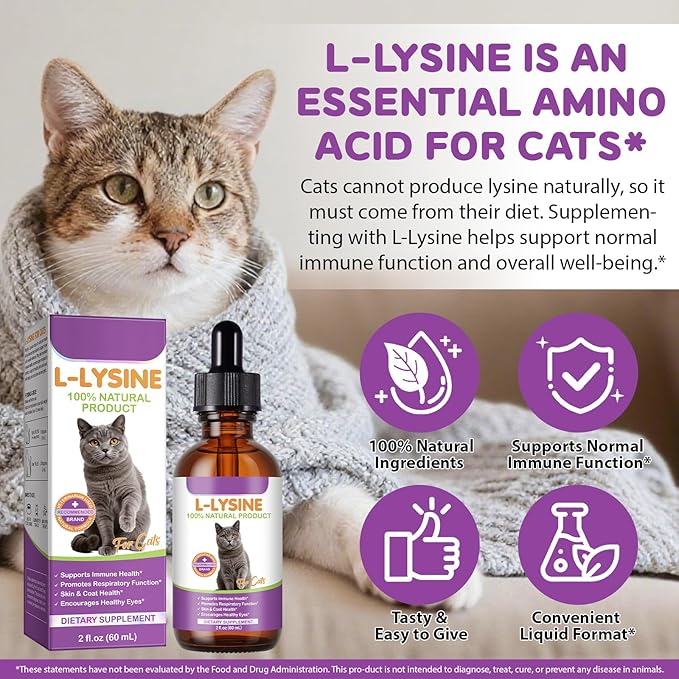 L-Lysine Drops for Cats 60ml - Natural Support for Eye & Respiratory Health | Chicken Flavor | Grain-Free & Gluten-Free | with Herbal Extracts & Vitamins | for Tear Stains & Sneezing