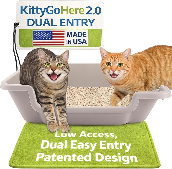KittyGoHere 2.0 Easy-Entry Cat Litter Box – Large Open-Top Low Entrance Litter Pan with Higher Sides & Two Entrances – Ideal for Senior & Arthritic Cats – Made in USA (Grey)