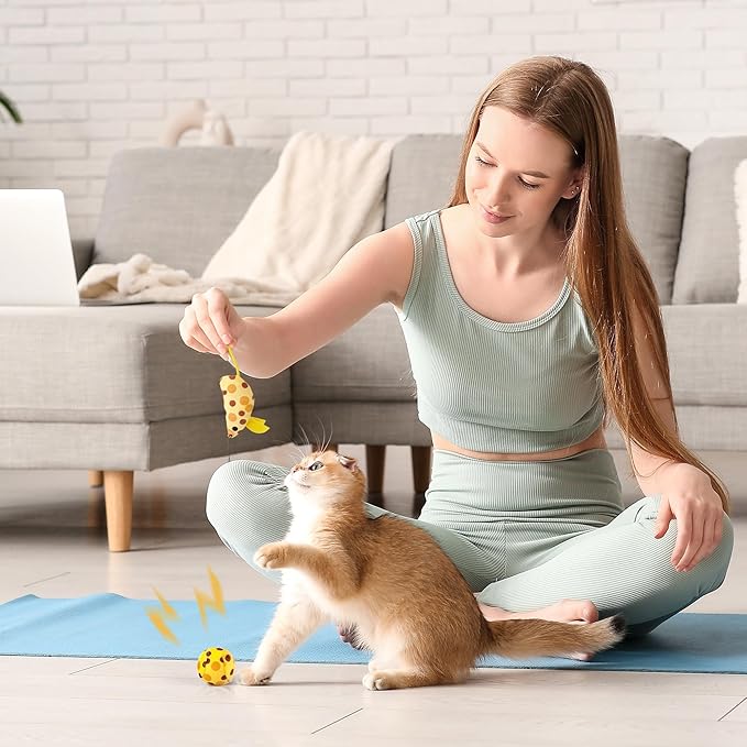 Pawise Cat Starter Kit Includes 4PCS Kitty Supplies, Great for Small Kitties, 14.5x10.5 Inch (Yellow)