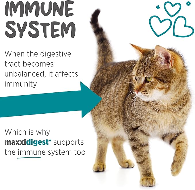 maxxipaws maxxidigest+ Prebiotic & Probiotic for Cats 3.2oz | Cat Probiotic Powder with Advanced Digestive Enzymes for Gut Health & Immunity | Supports Digestion, Food Sensitivities & Itchy Skin
