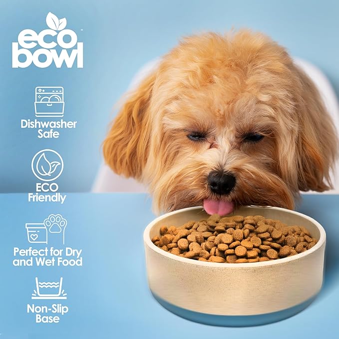 Palz&Co EcoBowl with Lid for Dogs & Cats, 48 oz Blue - Natural Bamboo Pet Bowl with Non-Slip Base, Pet Food and Water Dish, Dishwasher Safe