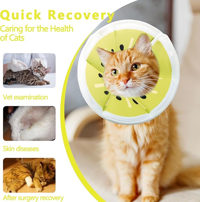 Soft Adjustable Cat Cone Collar, Comfortable Cat Recovery Collar Suitable for Various Types of Cats,Elizabethan Neck Protective Collar for Cats After Surgery (Gold Kiwi, Small)