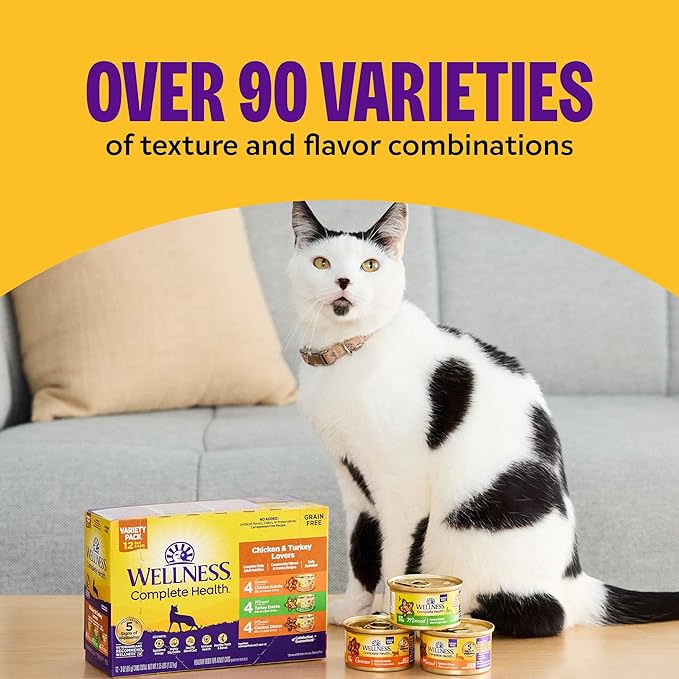 Wellness Complete Health Tasty Textures Gravy & Minced Adult Wet Cat Food, Natural, Protein-Rich, Grain Free, 3 Ounce, 12 Pack, (Salmon, Tuna, and Chicken Variety Pack)