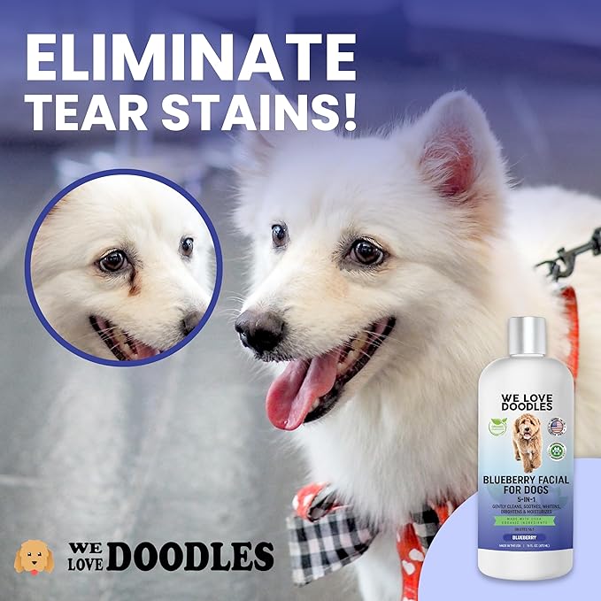 Blueberry Facial Dog Shampoo - Dog Tear Stain Remover, Brightens & Whitens Coat, Cleans & Deodorizes, Tearless, 16:1 Concentrated, 16 oz [We Love Doodles]