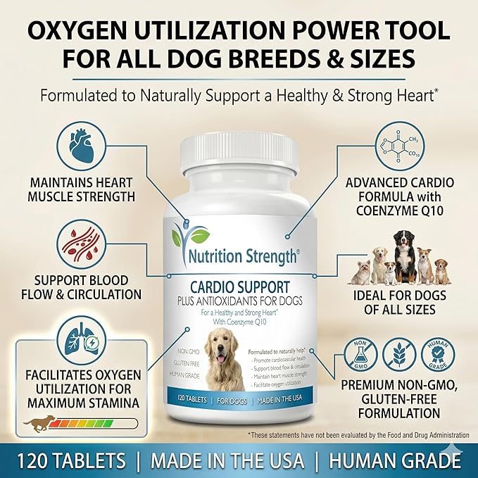 Cardio Support for Dogs Plus Antioxidant, L-Carnitine, L-Taurine, with Coenzyme Q10 and Vitamin E, Promotes a Healthy and Strong Dog Heart, 120 Chewable Tablets