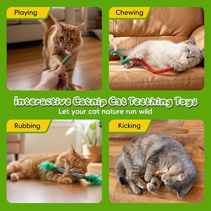 Silvervine Sticks for Cats & Cat Chew Rope Toy with Refillable Natural Catnip Bag for Teeth Cleaning, Interactive Cat Catnip Toys for Indoor Cats, Kitten Teething Toys for All Breeds (12Pcs)