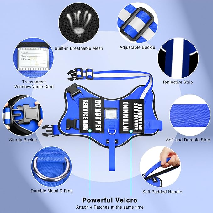 Service Dog Vest Harness and Leash Set+10 Patches,No Pull&Easy Walk Reflective Dog Harness with Soft Padded Handle for Training/Everyday,Fit Small/Medium/Large/Extra-Large Dogs (Blue S)